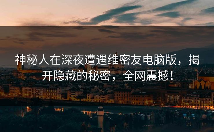 神秘人在深夜遭遇维密友电脑版，揭开隐藏的秘密，全网震撼！
