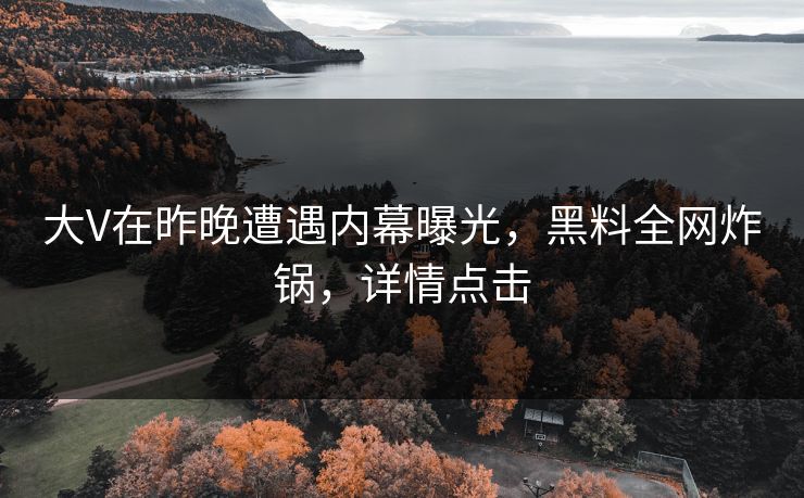 大V在昨晚遭遇内幕曝光，黑料全网炸锅，详情点击