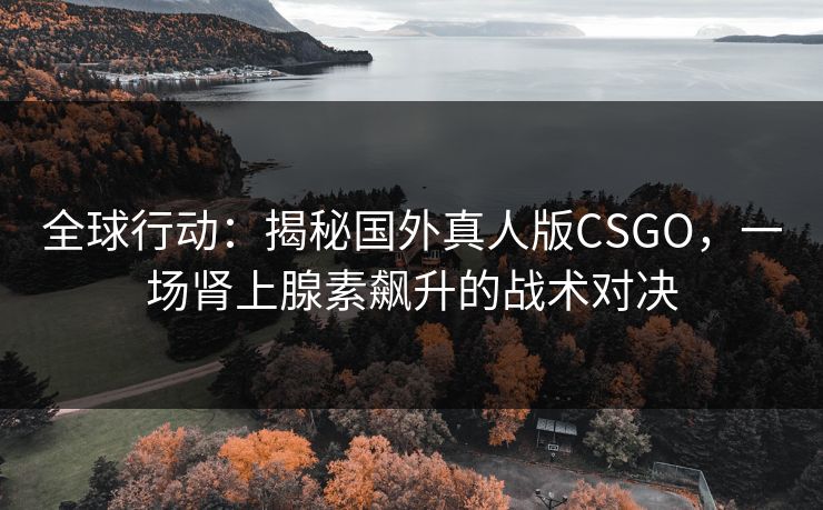 全球行动：揭秘国外真人版CSGO，一场肾上腺素飙升的战术对决
